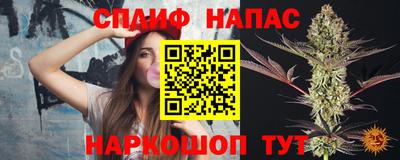 СК Апшеронск