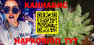 Альфа ПВП Аргун