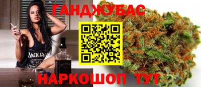 Альфа ПВП Аргун