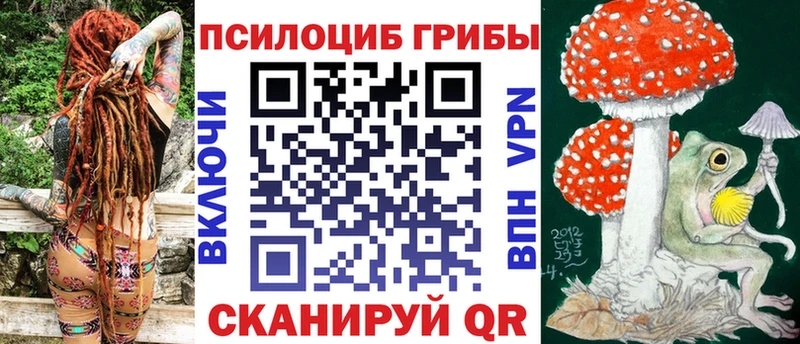 где найти   площадка телеграм  Псилоцибиновые грибы MAGIC MUSHROOMS  Благодарный 