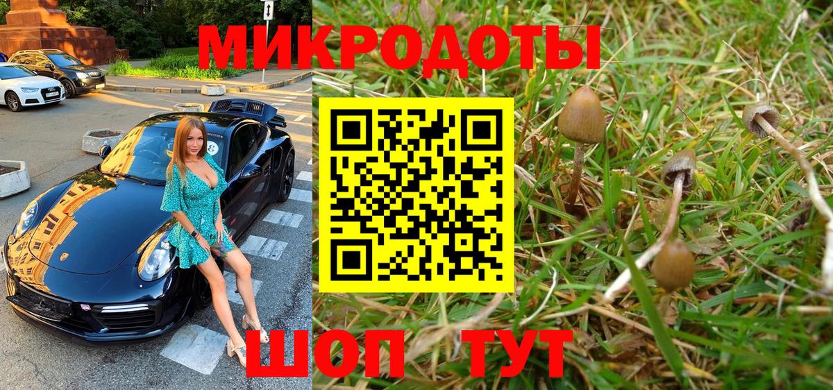 Псилоцибиновые грибы Psilocybine cubensis  где можно купить   Вход с VPN  Благодарный  Псилоцибиновые грибы GOLDEN TEACHER 