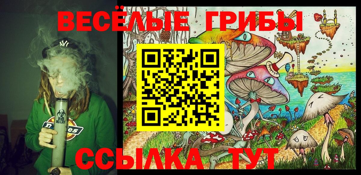 магазин    Благодарный  Галлюциногенные грибы Psilocybe 