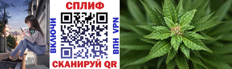 Конопля OG Kush Благодарный